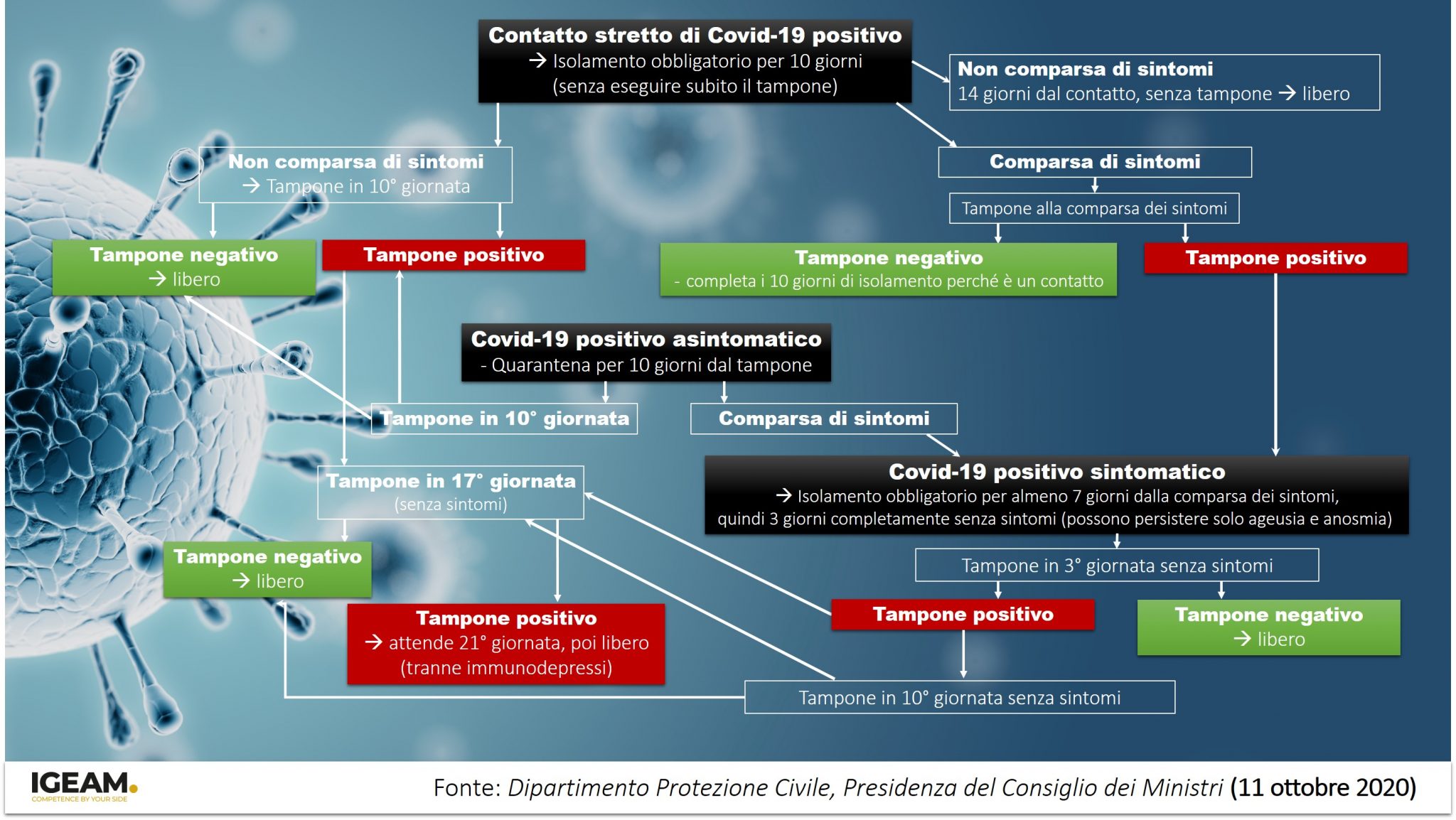 L'infezione Da Coronavirus SARS-CoV-2 (Covid-19) - IGEAM